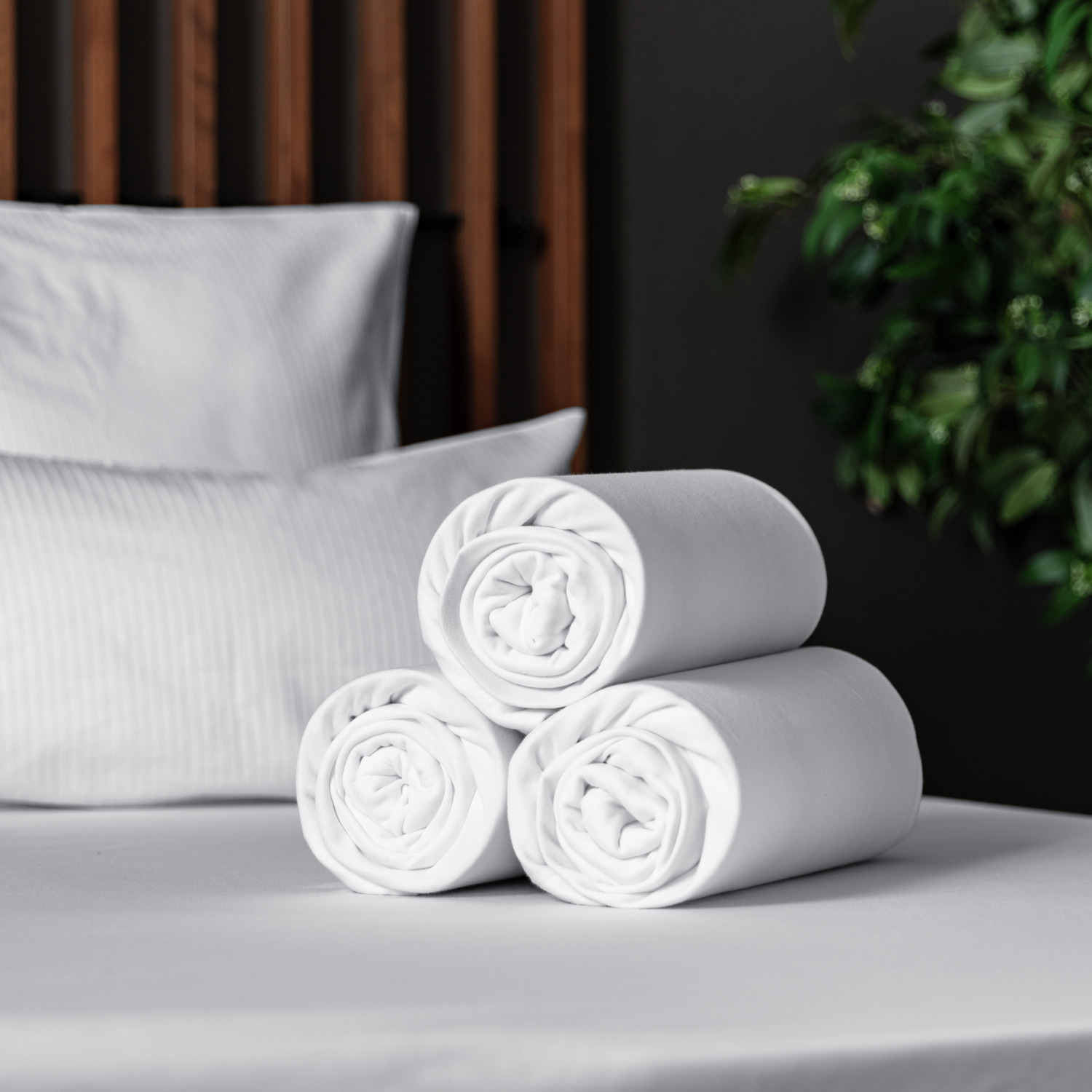 ERWIN M. Louisianna Cearafa cu Elastice, 100% Bumbac Interlock Double Jersey, 90-100 x 190-200 cm, Inaltime Saltea pana la 40 cm, OEKO-TEX Standard 100, Alb