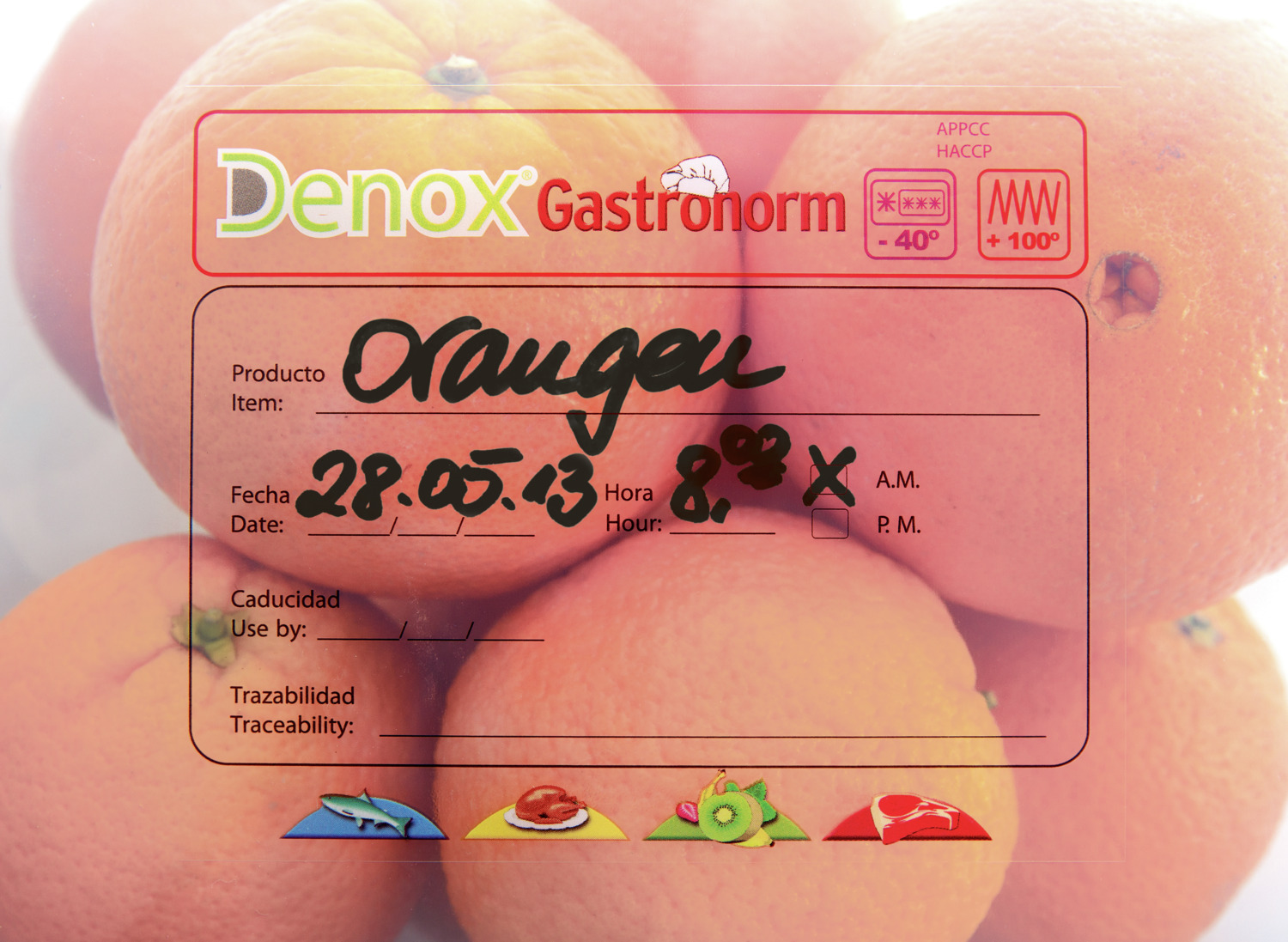 Denox Dena GN 1/6 Plastic Food Container with Lid and Color Clips, Polypropylene, 1.7L, Transparent, HACCP Compliant, 17.6x16.2x10cm