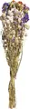 Vega Dried Flower Bundle Mai, 60 cm Natural Multicoloured Decorative Floral Arrangement