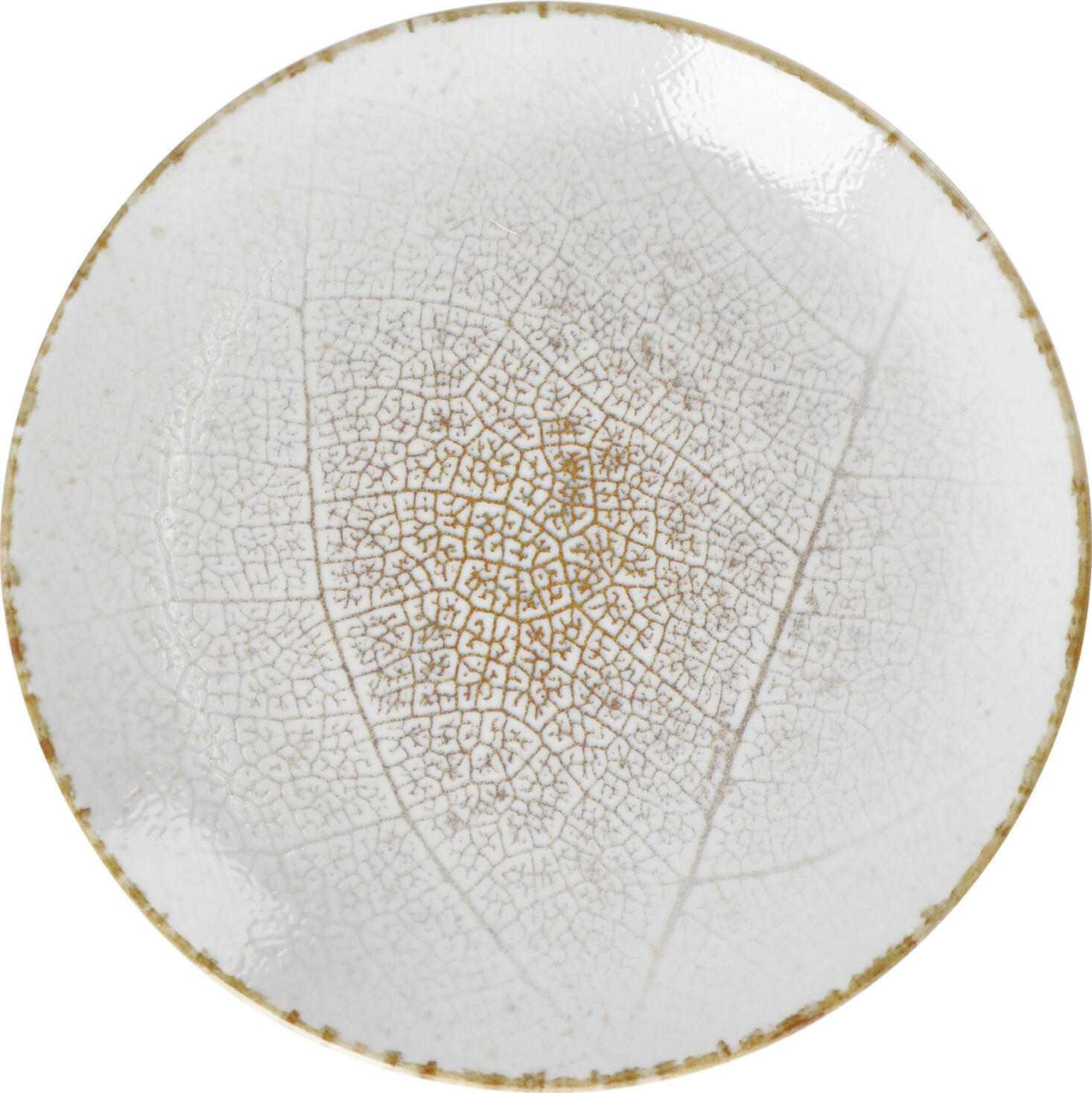 VEGA Pianta Porcelain Flat Plate 24.5 cm, White and Brown Leaf Digital Print, Rimless, Dishwasher and Microwave Safe
