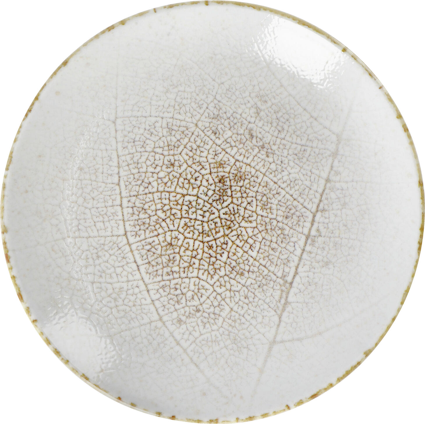VEGA Pianta Porcelain Flat Plate, 20.5 cm Round Rimless Design, Digital Leaf Pattern Print, Dishwasher and Microwave Safe