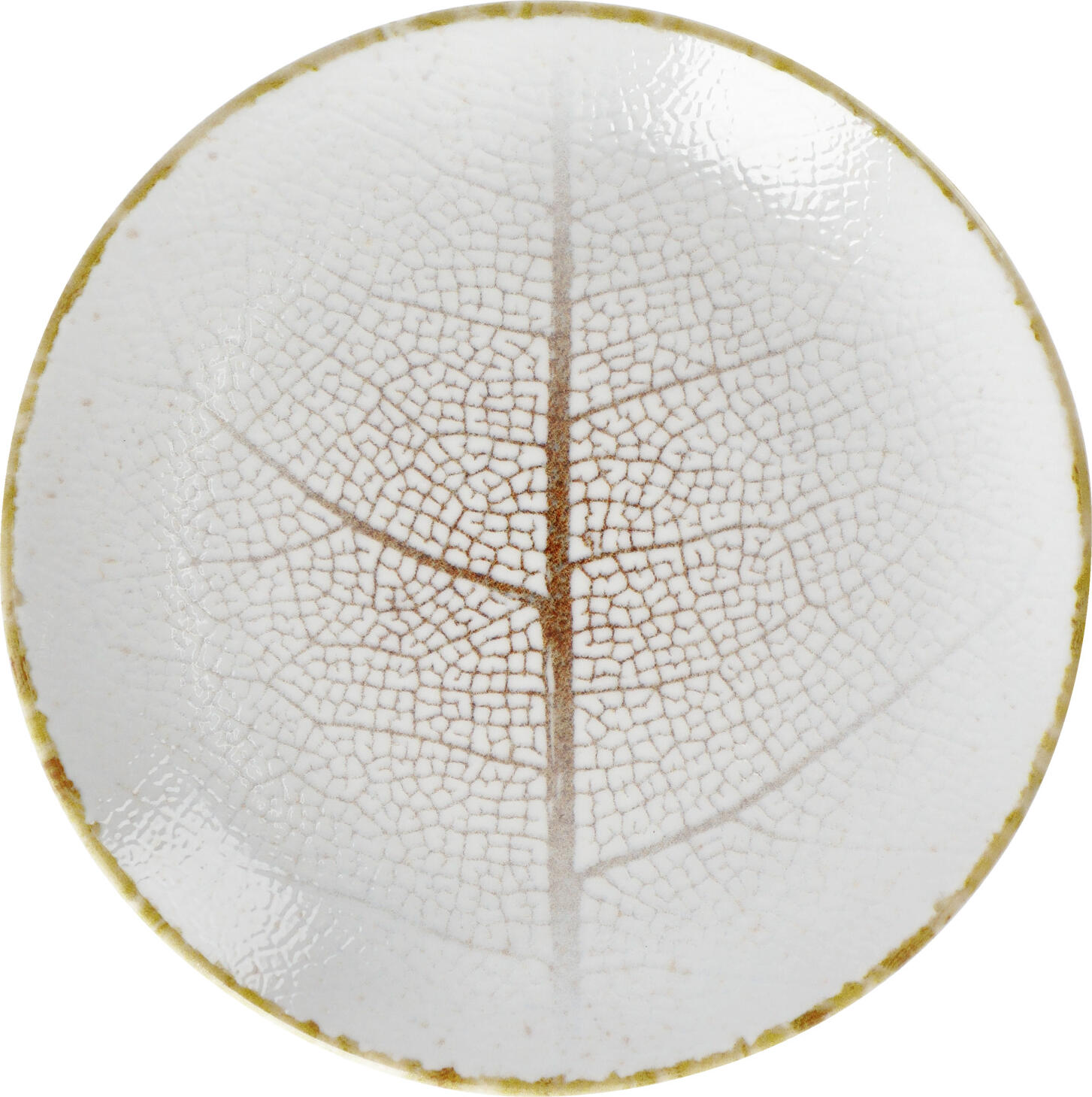 VEGA LUSINI Solutions GmbH Plate Pianta flat Teller Pianta flach Plate Pianta flat; 20.5 cm (Ø); white/brown; round; 6 piece / pack Teller Pianta flach; 20.5 cm (Ø); weiß/braun; rund; 6 Stück / Pack Colored porcelain plates decorated with digital print of delicate leaf pattern. Versatile and ideal for combining with other pieces. Without rim. Dishwasher safe and microwaveable. Farbige Porzellan-Teller mit Digitaldruck. Zwei Dekore mit feinem Blattmuster in einem Paket. Vielfältig einsetzbar und kombinierbar. Ohne Fahne. Spülmaschinenfest und mikrowellengeeignet.