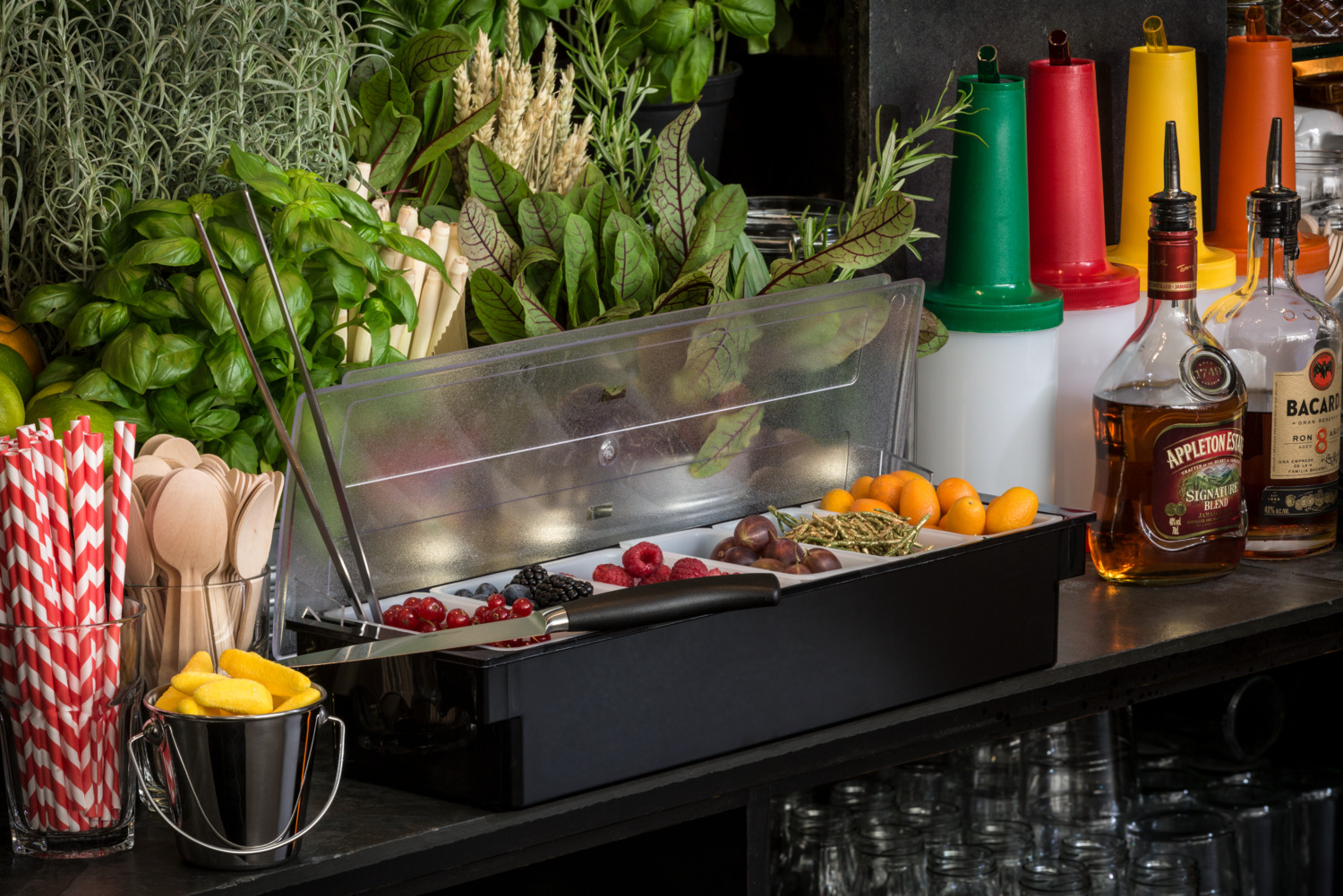 Vega Widnes Ingredient Container Bar Caddy with 6 Inserts, Plastic Storage for Garnishes, 49.5 x 15 x 9 cm, Black and Transparent