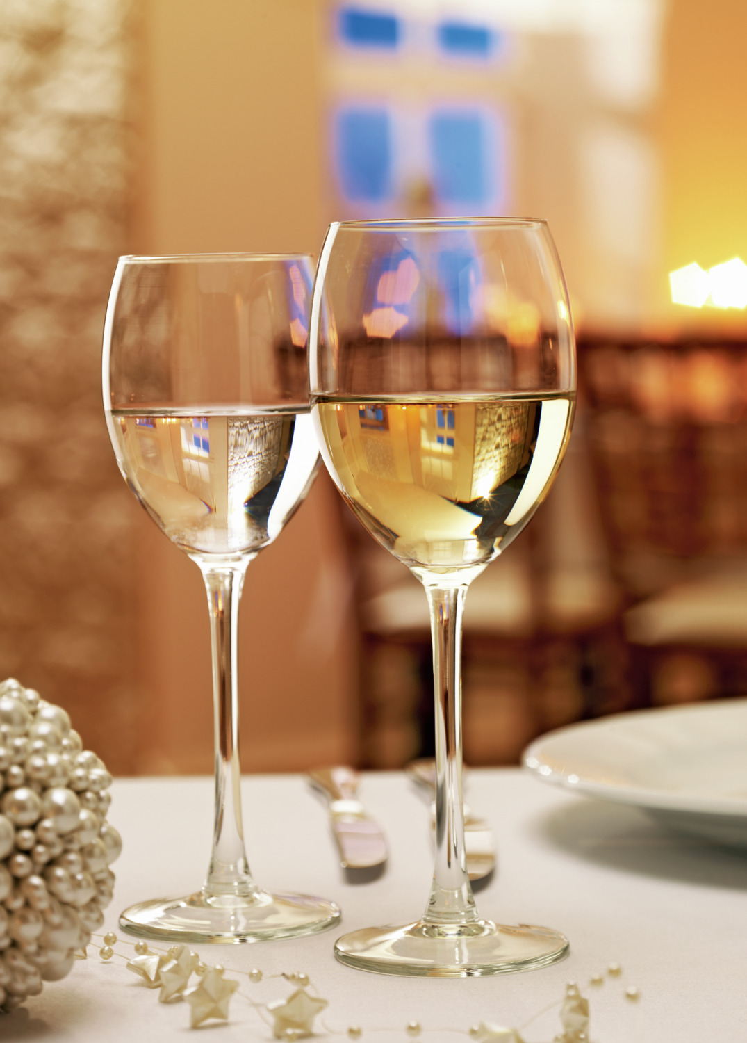 Royal Leerdam Plaza White Wine Glass, 250 ml, Transparent Heavy Quality Thick-Walled Glass, Dishwasher Safe, 20 cm Height