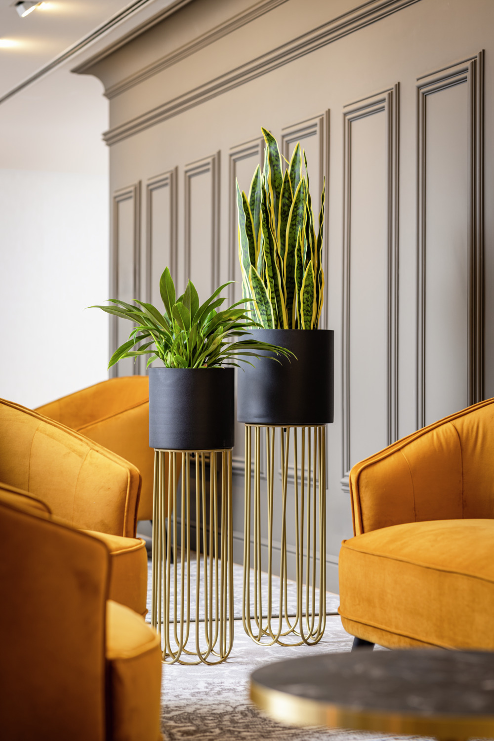 LUSINI Paulos Indoor Plant Pot Set with Integrated Stands, Black/Gold, 2-Piece Planter Set, 82cm and 72cm Heights, German Design
