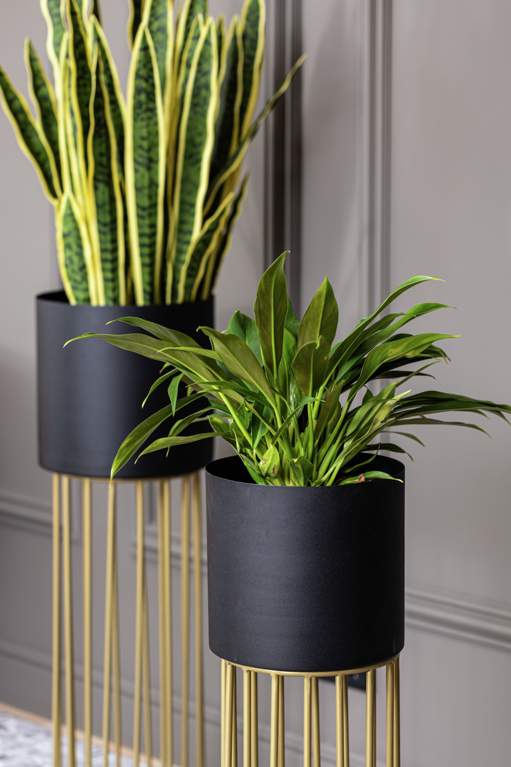 LUSINI Paulos Indoor Plant Pot Set with Integrated Stands, Black/Gold, 2-Piece Planter Set, 82cm and 72cm Heights, German Design
