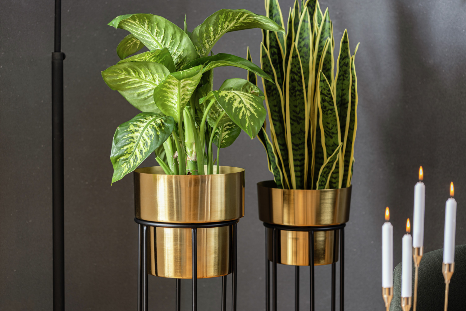 VEGA Osmaro Plant Pot Set, 2-Piece Metal Indoor Planters with Black Wire Stands, Golden Finish, 82cm and 72cm Height