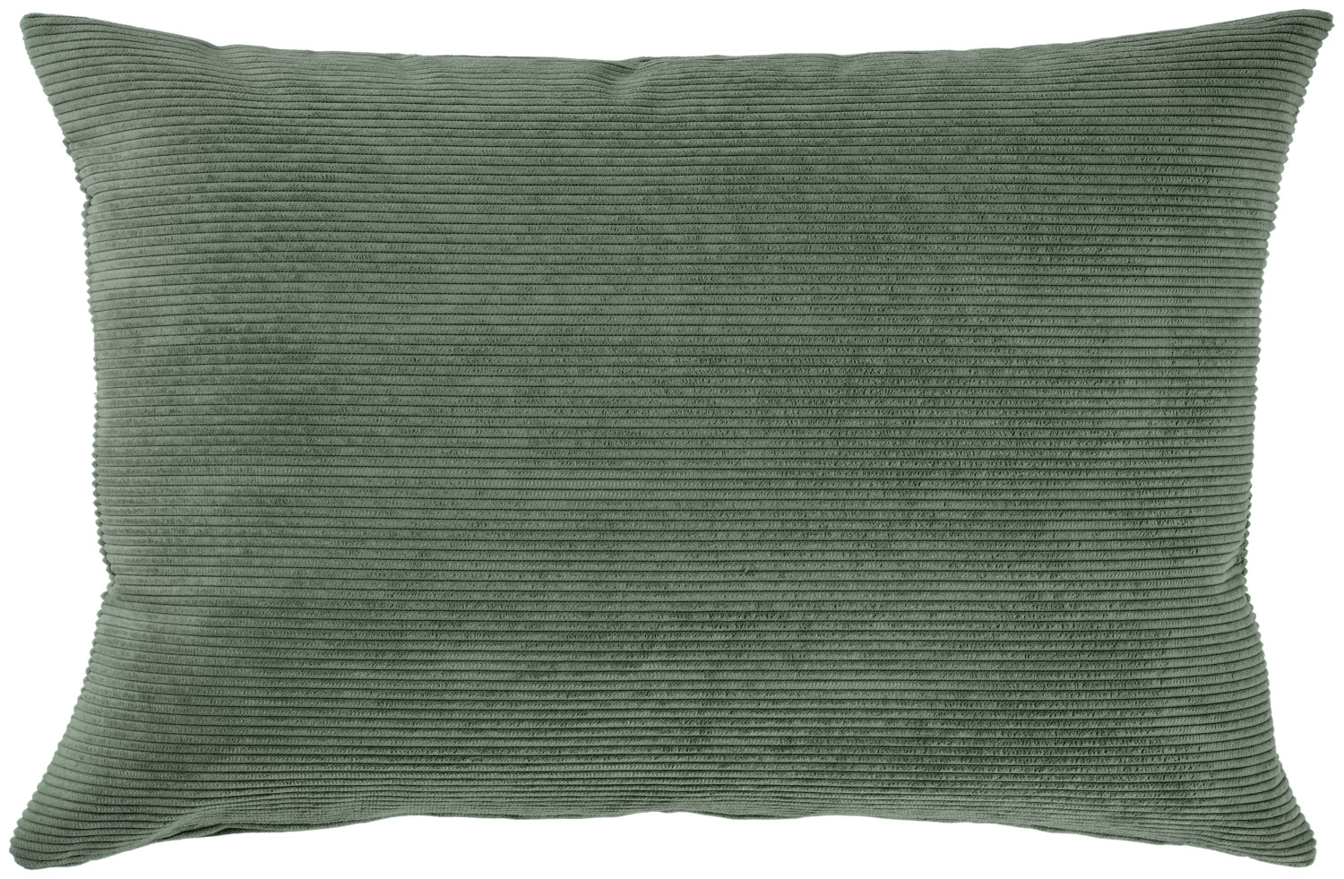 ERWIN M. Cushion cover Cordoba Kissenhülle Cordoba Cushion cover Cordoba; 40x60 cm (WxL); olive Kissenhülle Cordoba; 40x60 cm (BxL); oliv 100% polyester. Weight approx. 290 g/m². Cushion cover made from modern corduroy fabric. Particularly easy to care for. 100 % Polyester. Gewicht ca. 290 g/m². Kissenbezug aus modernem Cord Stoff. Besonders pflegeleicht.
