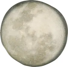 Porland Porland Porselen San. Ve Tic. A.Ş. Flat plate Selene Teller flach Selene Flat plate Selene; 30x2 cm (ØxH); grey/white; round; 6 piece / pack Teller flach Selene; 30x2 cm (ØxH); grau/weiß; rund; 6 Stück / Pack Colored plate made of stoneware with matt glaze. Without flag with irregular rim. Dishwasher safe and microwaveable. Farbiger Teller aus Steinzeug mit matter Glasur. Ohne Fahne mit unregelmäßigem Rand. Spülmaschinenfest und mikrowellengeeignet.