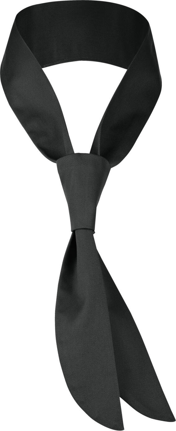 PULSIVA LUSINI Solutions GmbH Scarf-tie Terry Halstuch-Krawatte Terry Scarf-tie Terry; Size universal; black Halstuch-Krawatte Terry; Kleidergröße universal; schwarz 65 % polyester, 35 % cotton. 60 °C wash Neckerchief tie with ready tied loop for uncomplicated tucking in of the neckerchief. Individually adjustable in length. With high wearing comfort and washable. 65 % Polyester, 35 % Baumwolle. 60°-Wäsche Halstuch-Krawatte mit fertig gebundener Schlaufe zum unkomplizierten Einstecken des Krawattentuchs. Individuell verstellbar in der Länge. Mit hohem Tragekomfort und waschbar.