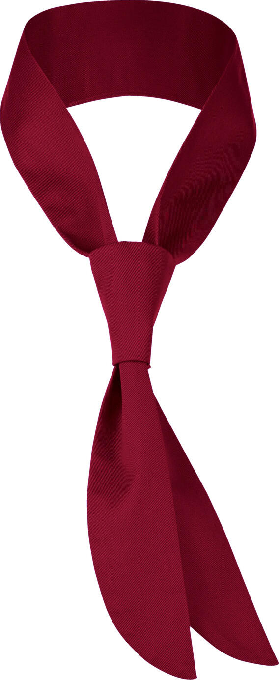 PULSIVA LUSINI Solutions GmbH Scarf-tie Terry Halstuch-Krawatte Terry Scarf-tie Terry; Size universal; bordeaux Halstuch-Krawatte Terry; Kleidergröße universal; bordeaux 65 % polyester, 35 % cotton. 60 °C wash Neckerchief tie with ready tied loop for uncomplicated tucking in of the neckerchief. Individually adjustable in length. With high wearing comfort and washable. 65 % Polyester, 35 % Baumwolle. 60°-Wäsche Halstuch-Krawatte mit fertig gebundener Schlaufe zum unkomplizierten Einstecken des Krawattentuchs. Individuell verstellbar in der Länge. Mit hohem Tragekomfort und waschbar.