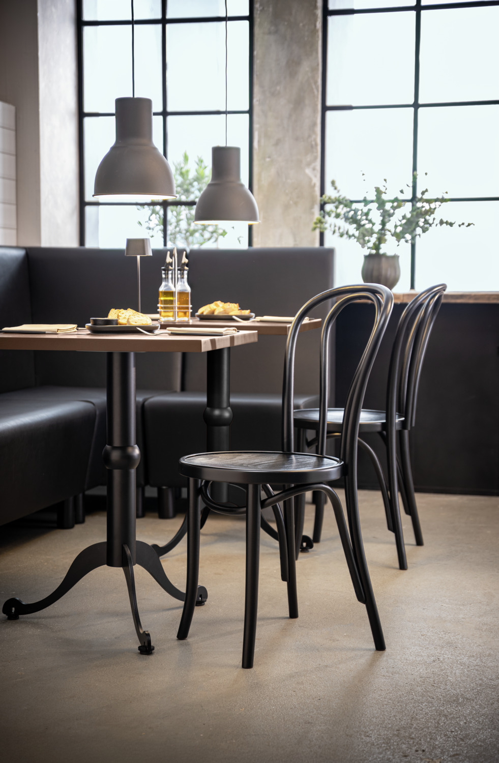 VEGA Charles Bentwood Chair, Solid Beech Wood, Curved Backrest, Stained and Lacquered Finish, 44 x 53.5 x 88 cm, Max Load 160 kg, FSC-certified