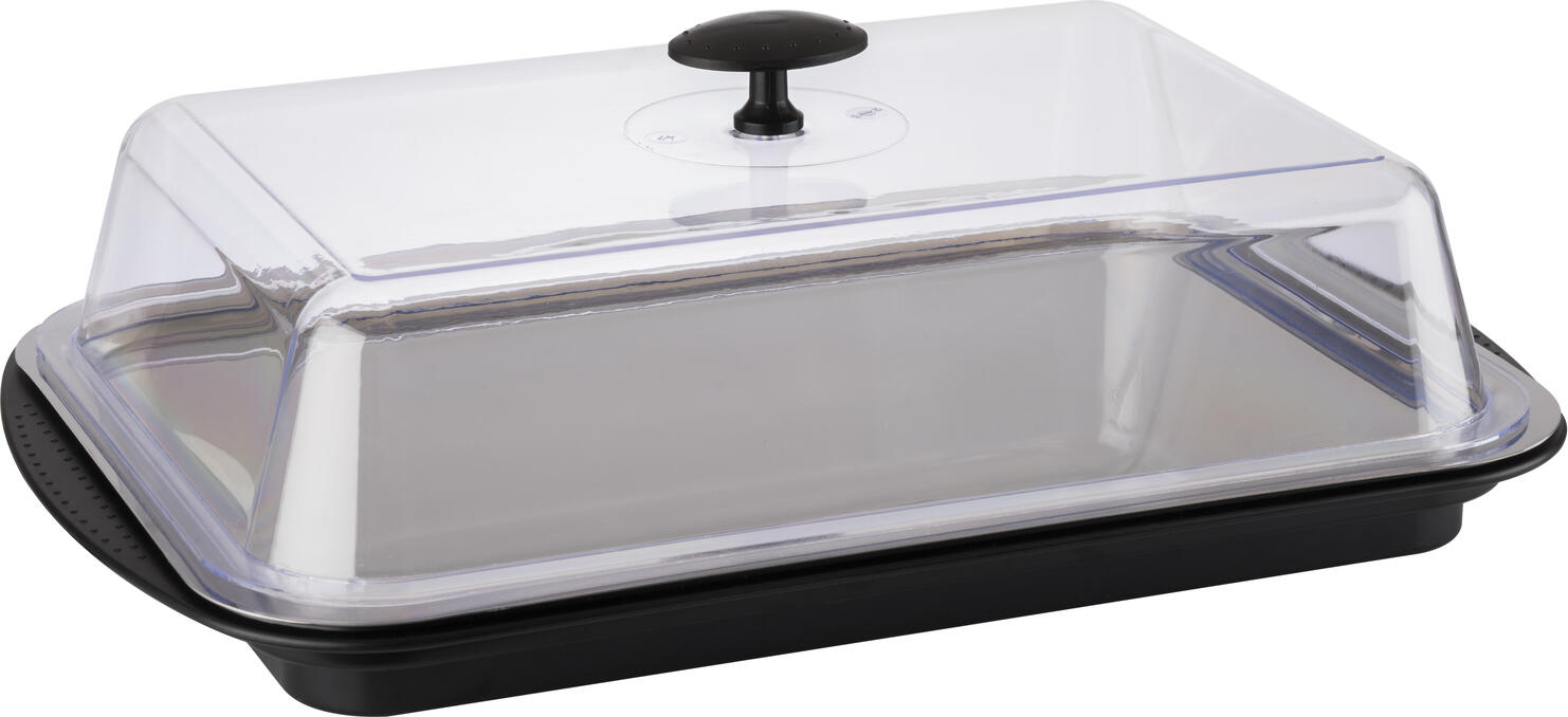 APS Thermo Tray Set Rectangular 43x29x14 cm, Stainless Steel 18/0 and Polystyrene, with Ice Packs, Cover and Strap, Dishwasher Safe, Made in Germany