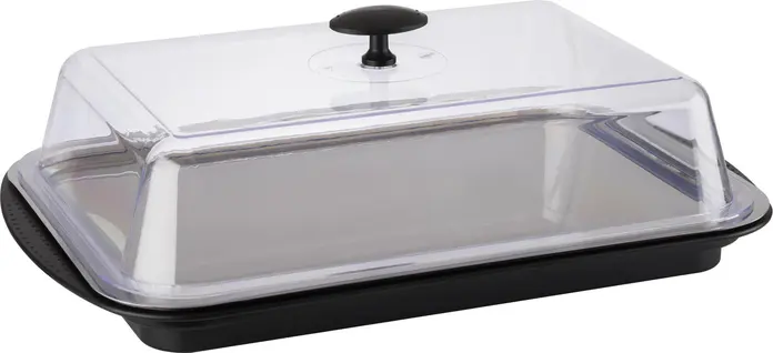 APS Thermo Tray Set Rectangular 43x29x14 cm, Stainless Steel 18/0 and Polystyrene, with Ice Packs, Cover and Strap, Dishwasher Safe, Made in Germany