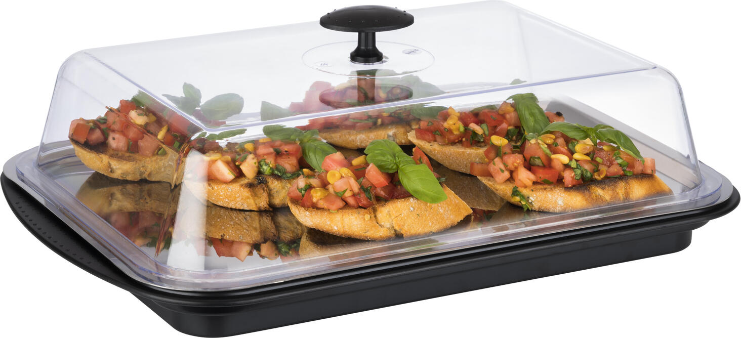 APS Thermo Tray Set Rectangular 43x29x14 cm, Stainless Steel 18/0 and Polystyrene, with Ice Packs, Cover and Strap, Dishwasher Safe, Made in Germany