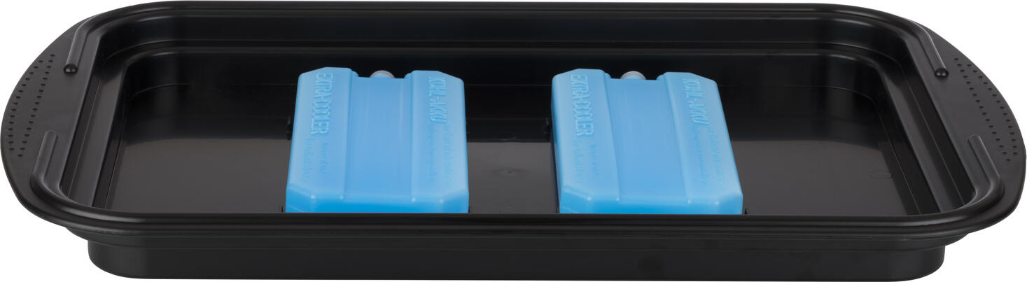 APS Thermo Tray Set Rectangular 43x29x14 cm, Stainless Steel 18/0 and Polystyrene, with Ice Packs, Cover and Strap, Dishwasher Safe, Made in Germany