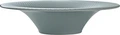 Heart & Soul Pine Relief Deep Plate Round Coup 27cm 400ml Blue Impact-Resistant Professional Catering Dishwasher and Microwave Safe