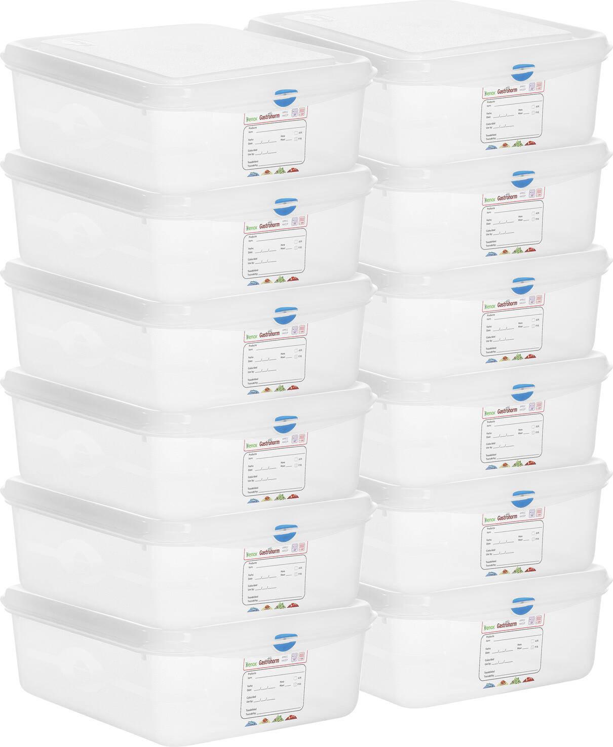 Denox Dena GN 1/9 Container Set of 12, 0.6L Polypropylene Food-Safe Containers with Lids and Color Clips, Transparent, HACCP Compliant