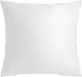 Erwin M. Lusini Filling Cushion 40 x 40 cm, 100% Feathers with 100% Cotton Cover, White Hotel Quality Decorative Pillow Insert, OEKO-TEX Standard 100