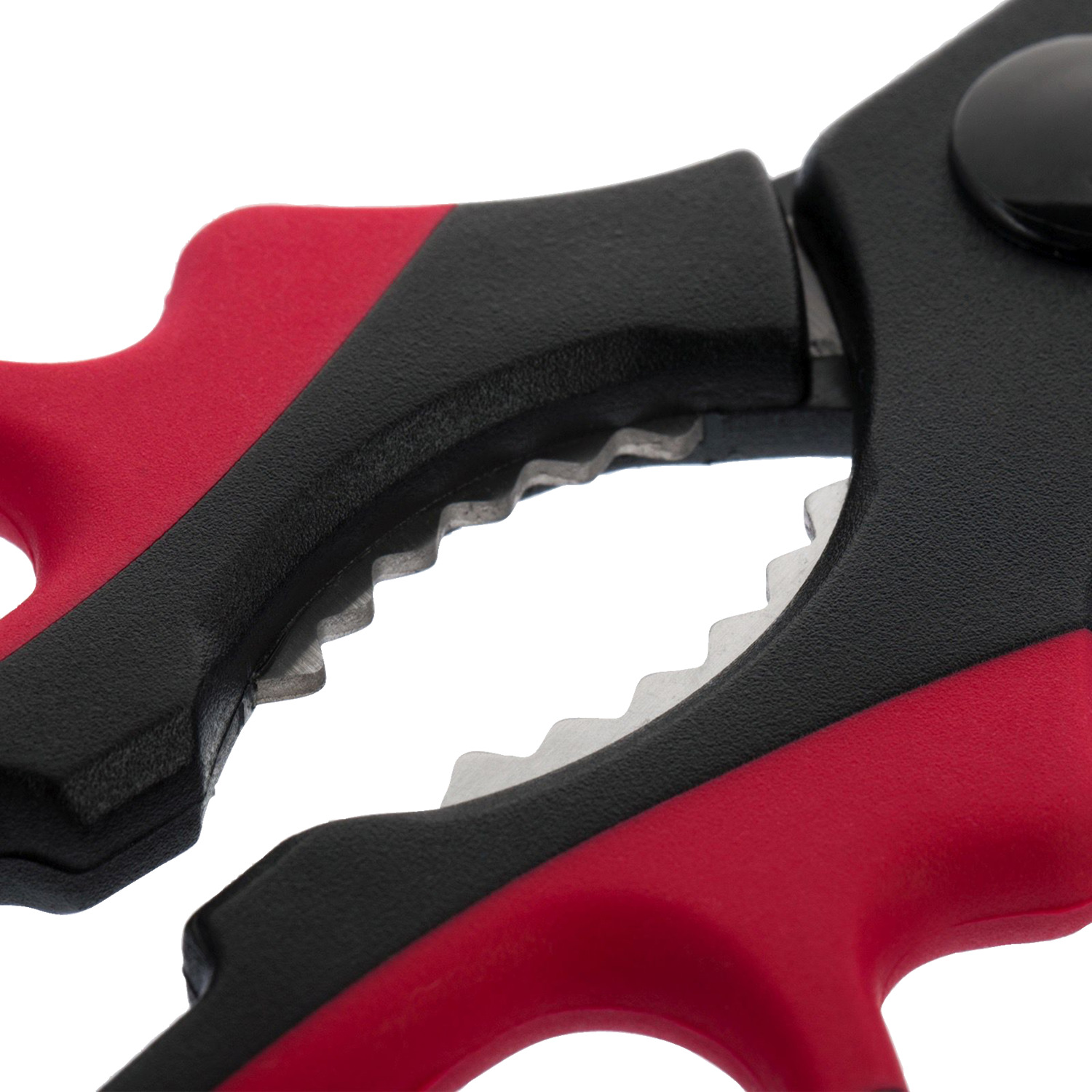 Westmark Universal Scissors, Stainless Steel Blades with Polypropylene Handle, 21 cm All-Purpose Household and Kitchen Shears, Rustproof with Integrated Serrated Opener for Tubes and Caps, Dishwasher Safe