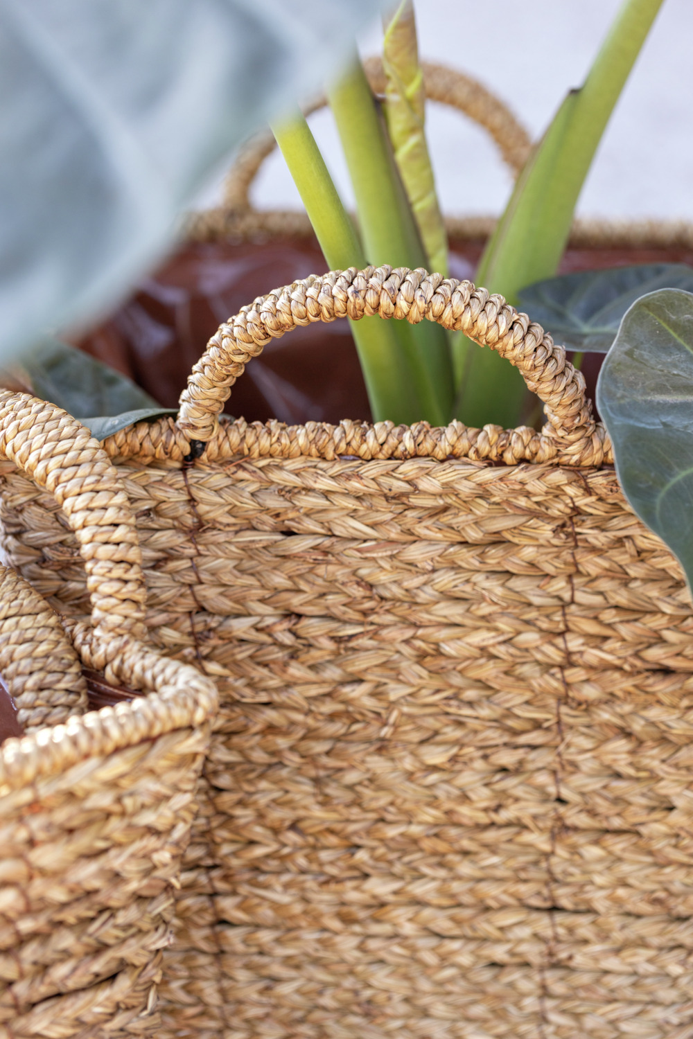 Vega Vanita Planter, Natural Beige Straw Flower Pot with Foil Insert, Indoor and Outdoor Use, 32 x 29 x 37.5 cm