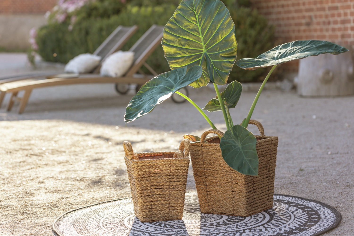 Vega Vanita Straw Planter, 25 x 23 x 32 cm, Natural Beige, with Foil Insert, Suitable for Direct Planting, Indoor and Outdoor Use