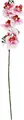 VEGA Maarja Artificial Orchid Branch, 61 cm Decorative Plant, Polyester and Polyethylene, Multicoloured, Maintenance-Free Evergreen Indoor Decor