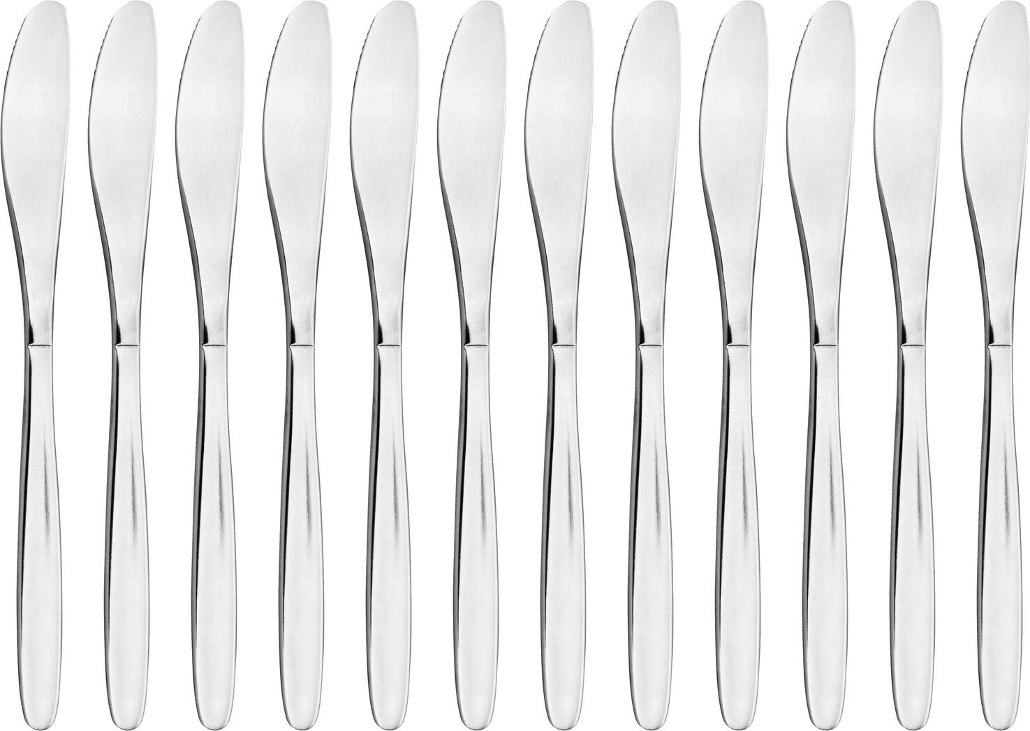 Pulsiva Basic Table Knife Set of 12, 13/0 Chrome-Stainless Steel, Rustproof Monoblock, Matt Polished, 21.2 cm, Silver, Dishwasher Safe