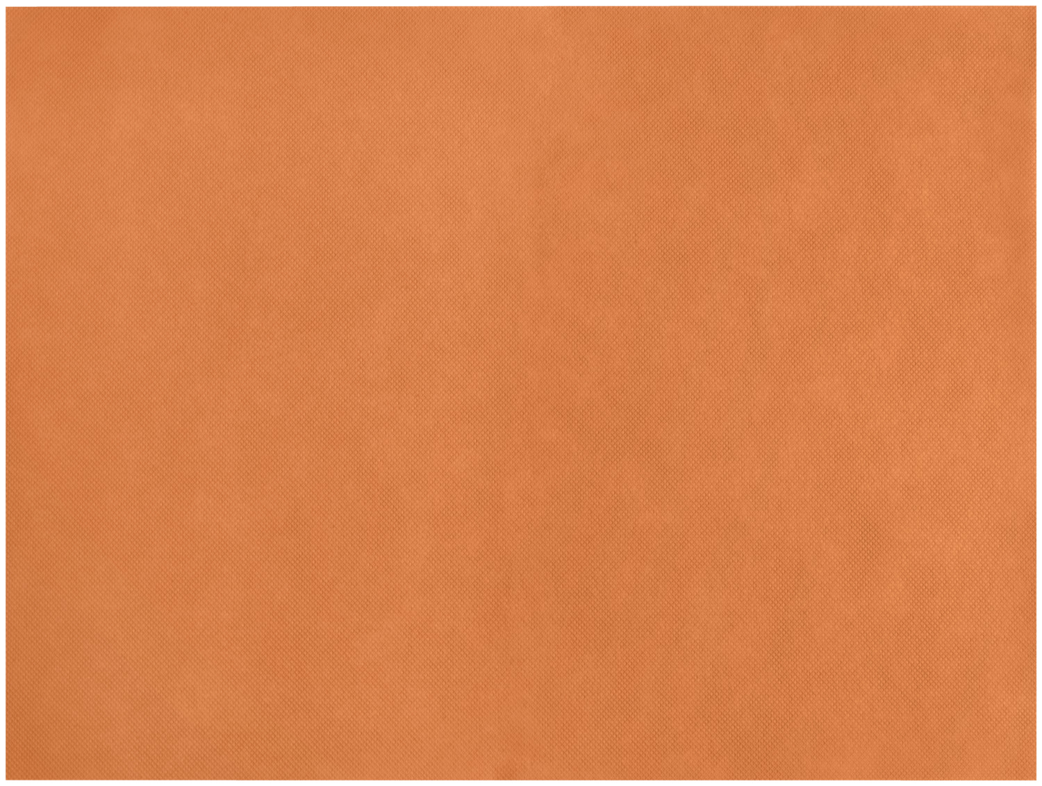 GARCIA DE POU Garcia De Pou, S.A. Placemat Spuno Tischset Spuno Placemat Spuno; 30x40 cm (WxL); orange; 200 piece / pack Tischset Spuno; 30x40 cm (BxL); orange; 200 Stück / Pack Placemat made of textile-like synthetic fiber material, soft, tear-resistant, durable and robust, wipeable and moisture repellent. Material: 100% spunbond non-woven (60 g/m²). For indoor and outdoor use. Tischset aus textilähnlichem Kunstfasermaterial, weich, reißfest, strapazierfähig und robust, abwischbar und feuchtigkeitsabweisend. Material: 100 % Spunbond-Vlies (60 g/m²). Für Innen- und Außenbereich.