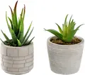 Vega Afia Artificial Plant Set of 2, Ceramic and Plastic, Grey and Green, 6.5 cm x 14 cm, Maintenance Free
