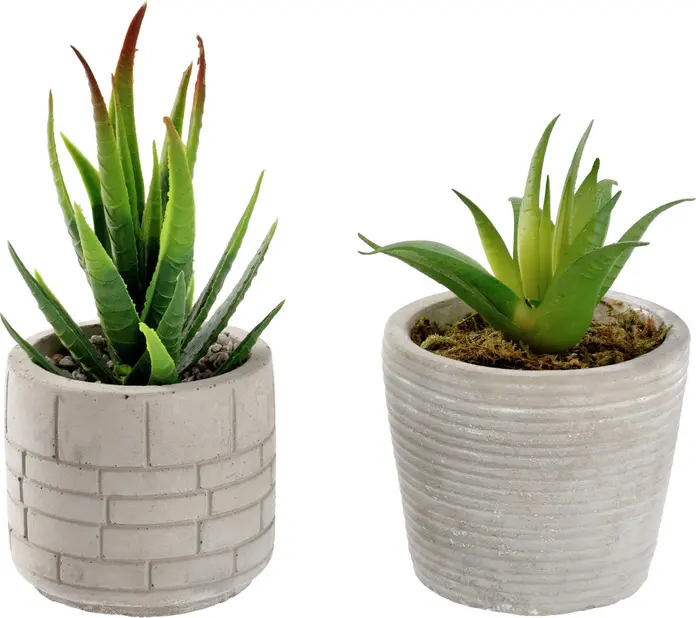 Vega Afia Artificial Plant Set of 2, Ceramic and Plastic, Grey and Green, 6.5 cm x 14 cm, Maintenance Free