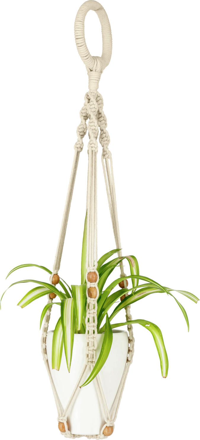 unknown LUSINI Solutions GmbH Hanging basket Natsuki Blumenampel Natsuki Hanging basket Natsuki; 90x10 cm (LxW); cream white/brown Blumenampel Natsuki; 90x10 cm (LxB); cremeweiß/braun Cotton hanging basket in a trendy macramé design with wooden ball embellishments. Planter not included. Blumenampel aus Baumwolle im angesagten Makramee Design mit Verzierung aus Holzkugeln. Übertopf nicht im Lieferumfang enthalten.