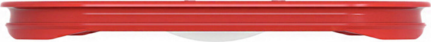 Rieber GN 1/2 Press-in Lid, 18/10 Stainless Steel, Watertight with Red Silicone Seal, 32.5 x 26.5 cm