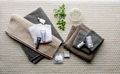 Prosoape pentru fata ERWIN M. LUSINI Dina, 100% bumbac terry rasucit, 30 x 30 cm, Bej, Set de 10 piese, Certificare OEKO-TEX Standard 100