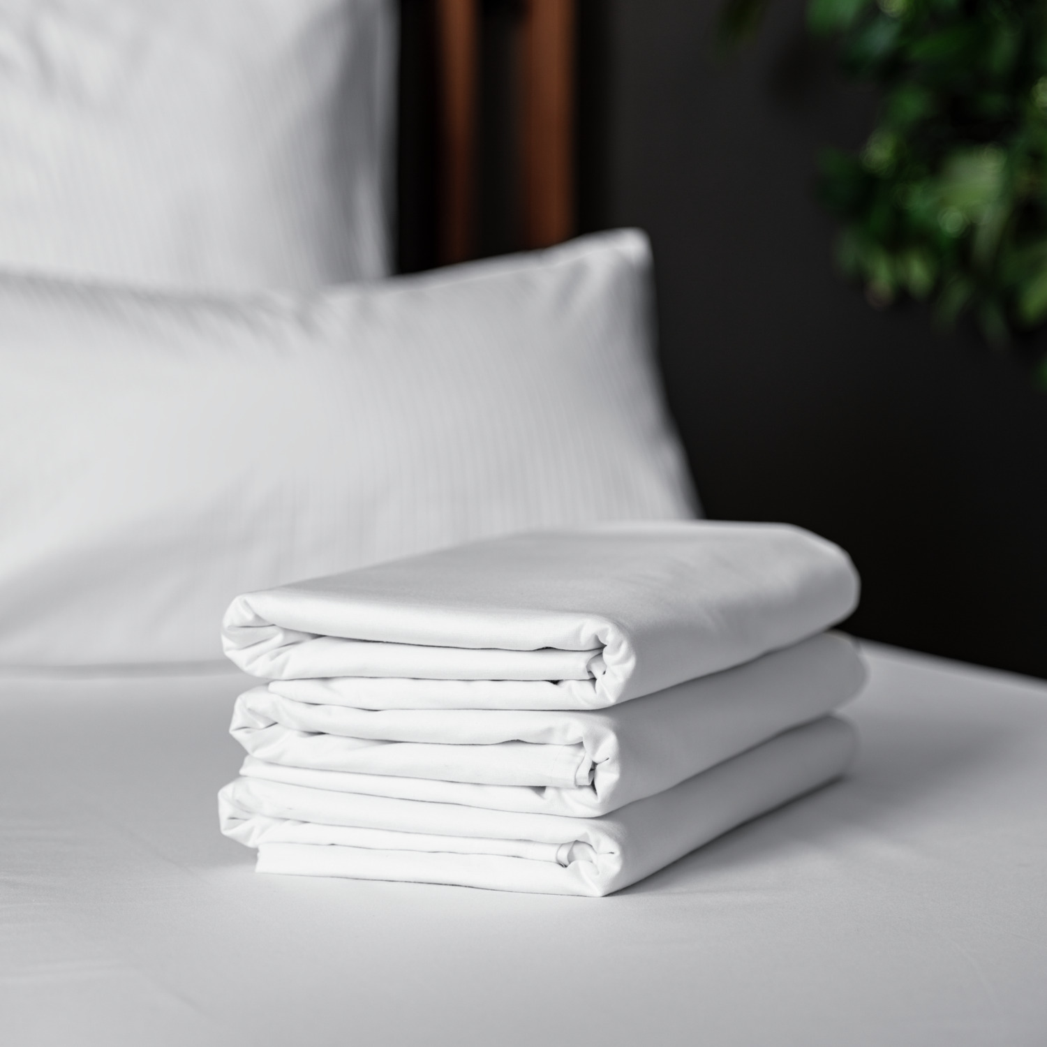 ERWIN M. Basic Bed Sheet, 100% Cotton Linon Plain Weave, 260 x 260 cm, White, OEKO-TEX Standard 100, Hotel Quality, Washable at 95°C