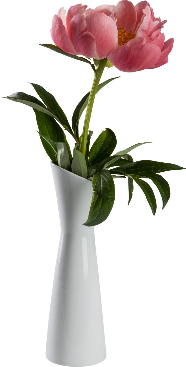 PULSIVA White Porcelain Vase, 20.6 cm Height, Waterproof and Dishwasher Safe, Timeless Design