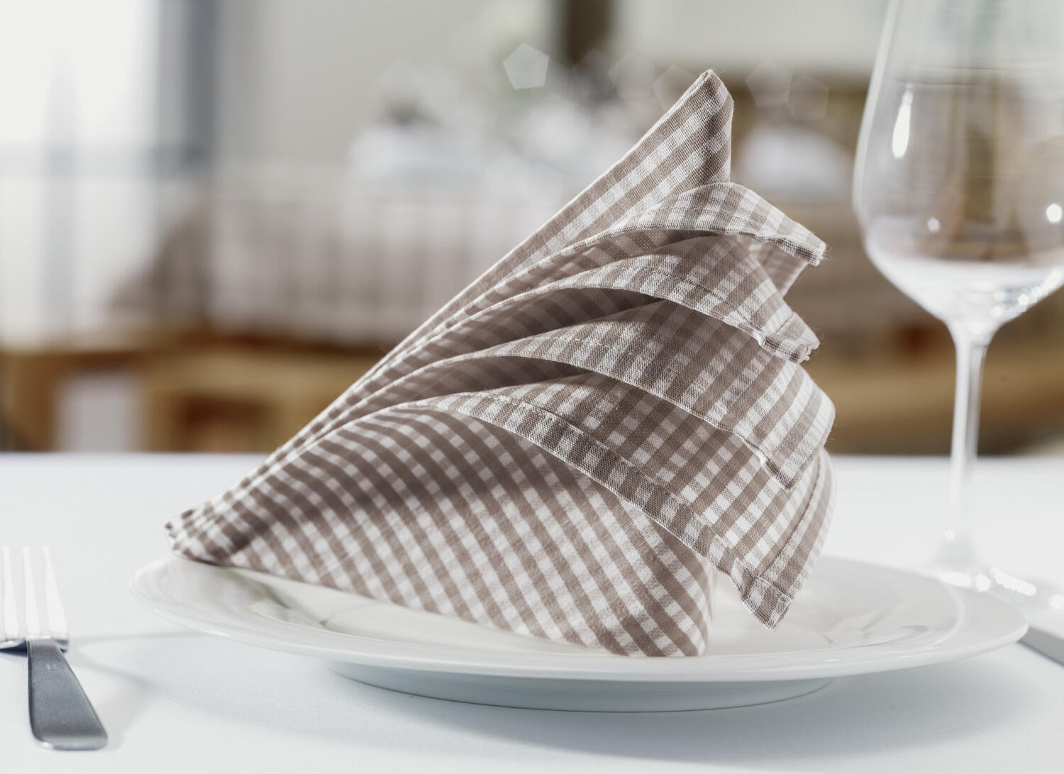 Erwin M. Lusini La Villa Napkins, Set of 6, 50 x 50 cm, Natural Beige Vichy Check, 50% Cotton 50% Polyester, Easy Care and Quick Drying