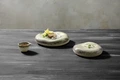 Set de 4 piese Farfurii Decorative din Porțelan VEGA Nagoya, Design Organic Japonez, Glazură Artistică, Alb/Gri, 17x17x5 cm
