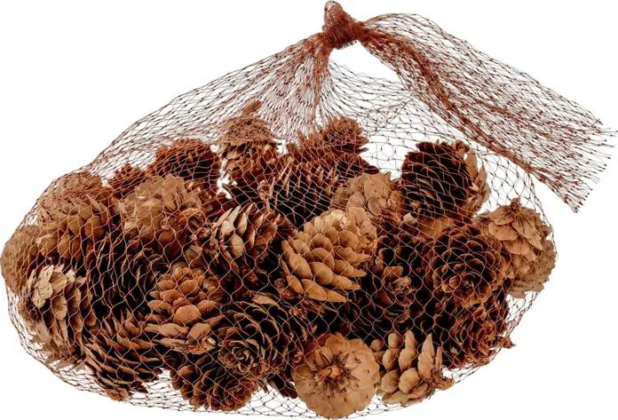 Vega Brinda Natural Brown Pine Cones for Autumn and Christmas Decorations, 2 cm Diameter