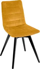 VEGA LUSINI Solutions GmbH Shell chair Milaria velvet, pack of 2 Schalenstuhl Milaria Samt, Gestell Holz Shell chair Milaria velvet, pack of 2; 60x51x88.5 cm (WxDxH); seat golden, base black; 2 set / pack Schalenstuhl Milaria Samt, Gestell Holz; 60x51x88.5 cm (BxTxH); Sitz gold, Gestell schwarz; 2 Set(s) / Pack Elegant chair with upholstered seat shell made of velvet fabric (100 % polyester) and a chair frame made of beech wood, colour lacquered. Stitching on the seat shell. Felt glides included. Easy to clean. Suitable for indoor use only. Simple assembly - mount the frame to the seat shells with four screws. Alternative chair glides available on request. Eleganter Stuhl mit gepolsterter Sitzschale aus Samtstoff (100 % Polyester) und einem Stuhlgestell aus Buchenholz, farbig lackiert. Absteppungen an der Sitzschale. Inklusive Filzgleiter. Pflegeleicht. Nur für den Innenbereich geeignet. Einfache Montage - Gestell mit vier Schrauben an die Sitzschalen montieren. Alternative Stuhlgleiter auf Anfrage erhältlich.