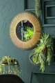 Vega Jayanna Decorative Mirror, Eye Shape, Satin Gold Finish Metal and Glass, 33 x 25 cm