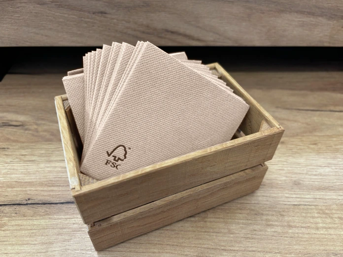 Garcia De Pou Feel Green Ecolabel Napkins, 1/4 Fold, 2-Ply Recycled Paper, 20x20 cm, Natural Beige, Biodegradable and Compostable, Pack of 100