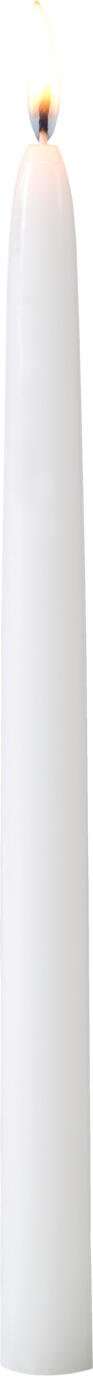 Gala GALA Germany GmbH Taper candle Chandel Spitzkerze Chandel Taper candle Chandel; 2.2x26 cm (ØxH); white; 50 piece / pack Spitzkerze Chandel; 2.2x26 cm (ØxH); weiß; 50 Stück / Pack Burning time: 7h. RAL quality mark. Spitzkerze mit RAL-Gütezeichen. Brenndauer: 7h.