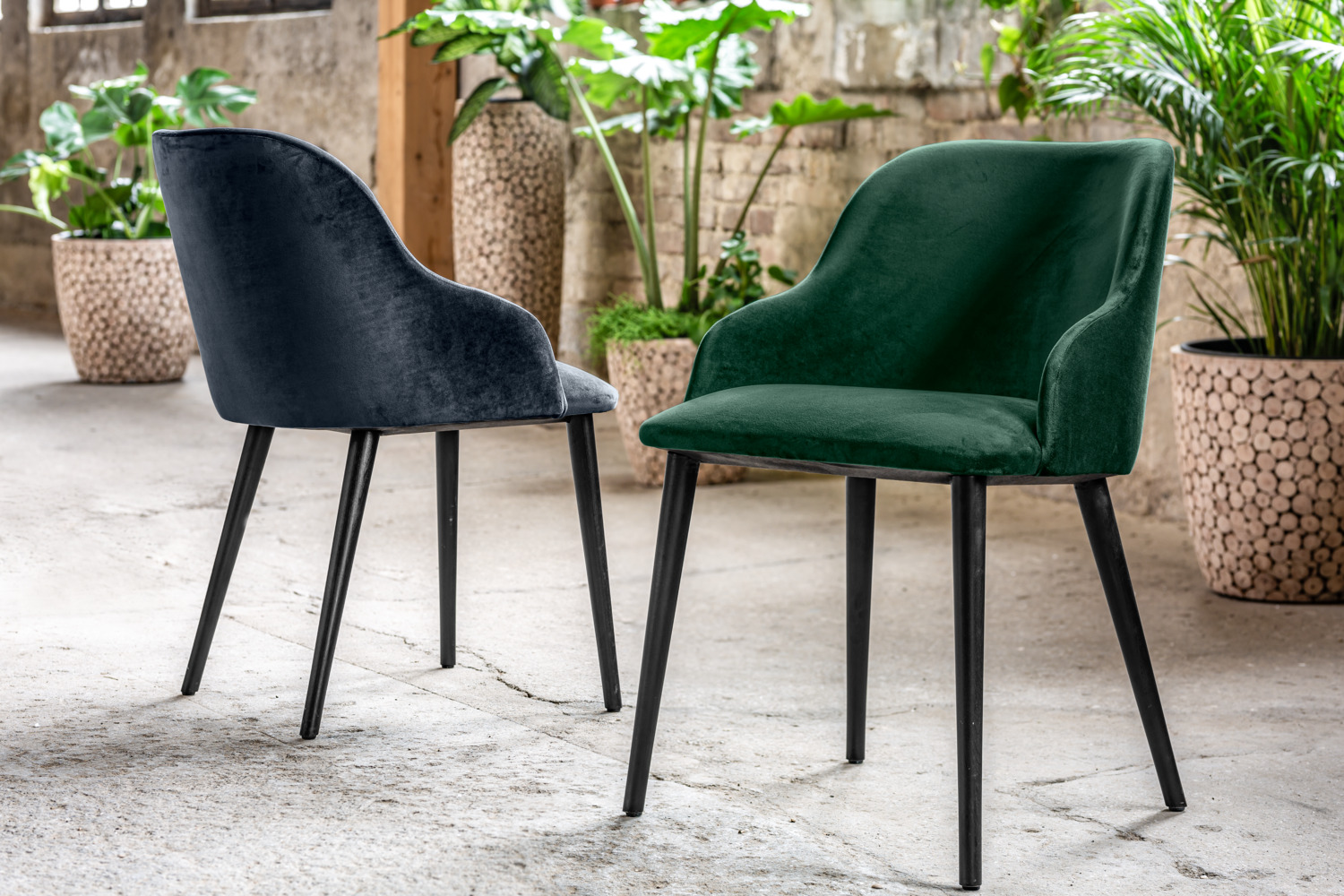 Scaun Tapitat VEGA Almonda, Catifea Poliester Verde-Brad, Picioare Lemn Fag Lacuit Negru, Design Modern Clasic Ergonomic, 54x64x77.5 cm