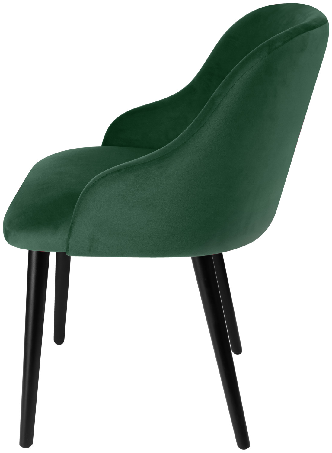 Scaun Tapitat VEGA Almonda, Catifea Poliester Verde-Brad, Picioare Lemn Fag Lacuit Negru, Design Modern Clasic Ergonomic, 54x64x77.5 cm