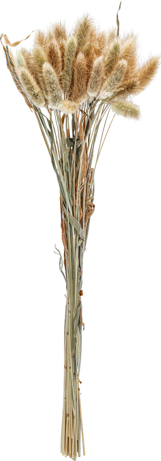 Flori Uscate LUSINI Ajda din Material Natural, Culoare Natural, Lungime 40 cm, Set de 50 Tulpini pentru Decoratiuni Individuale