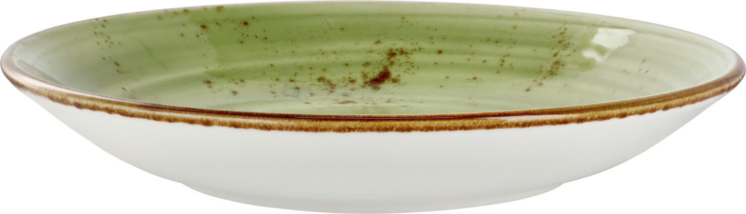 Set de 6 piese Farfurii Adânci Vega Nebro, Porțelan Premium, Design Rustic Verde Deschis, Fără Margine, Diametru 25.2 cm, 900 ml, Rezistente la Microwave