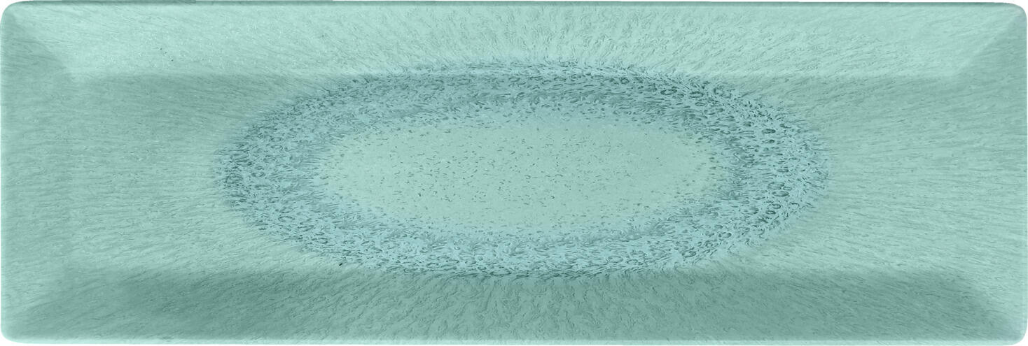 VEGA LUSINI Solutions GmbH Serving platter Torto Servierplatte Torto Serving platter Torto; 31x10.5x1.8 cm (LxWxH); turquoise/blue; rectangular; 6 piece / pack Servierplatte Torto; 31x10.5x1.8 cm (LxBxH); türkis/blau; rechteckig; 6 Stück / Pack Melamine presentation platter. Highly durable thanks to its impact and breakage resistance. For use between -30 °C and +70 °C. Dishwasher safe. Not suitable for microwave and oven. Präsentationsplatte aus Melamin. Besonders langlebig durch Stoß- und Bruchfestigkeit. Der Einsatzbereich ist von -30 °C bis +70 °C. Spülmaschinenfest. Nicht mikrowellengeeignet und nicht backofengeeignet.
