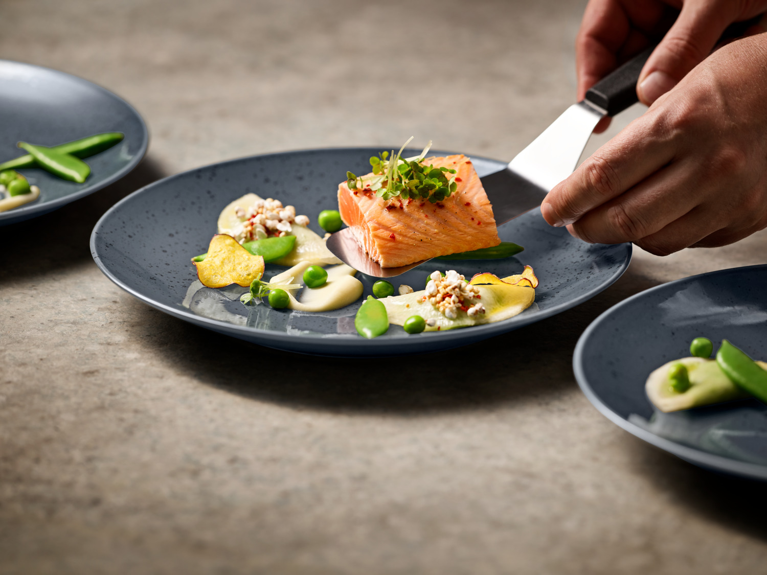 VEGA LUSINI Solutions GmbH Plate Alessia flat Teller Alessia flach Plate Alessia flat; 26 cm (Ø); grey; round; 6 piece / pack Teller Alessia flach; 26 cm (Ø); grau; rund; 6 Stück / Pack Colored porcelain plates with irregular speckles. Without flag. Dishwasher safe and microwaveable. Farbige Teller aus Porzellan mit unregelmäßigen Sprenkeln. Ohne Fahne. Spülmaschinenfest und mikrowellengeeignet.