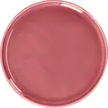 VEGA LUSINI Solutions GmbH Plate Alegria flat Teller Alegria flach Plate Alegria flat; 20x1.6 cm (ØxH); light-red; round; 6 piece / pack Teller Alegria flach; 20x1.6 cm (ØxH); hellrot; rund; 6 Stück / Pack Porcelain plate in plain white or trendy colors. Dishwasher safe and microwaveable. Porzellan-Teller in uni weiß oder angesagten Farben. Ohne Fahne. Spülmaschinenfest und mikrowellengeeignet.